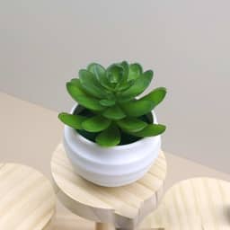 Plantas suculentas artificiais em vasos, pequenas plantas falsas para quarto, estética, sala de estar, escritório, decoração de banheiro (verde)