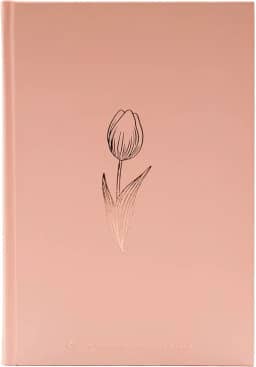 Bíblia NAA, Rose Tan, Capa Dura | SBB | Capa dura ilustrada, rose: Nova Almeida Atualizada (NAA)