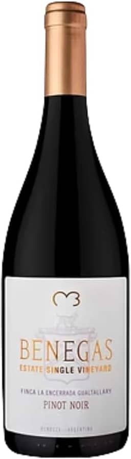 Benegas Vinho Tinto Argentino Gualtallary Single Vineyard Pinot Noir 750Ml
