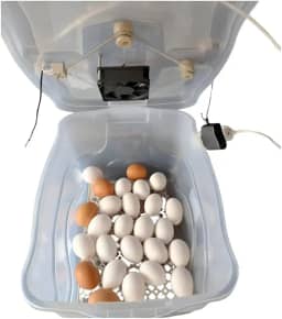 Chocadeira Pet Para 30 Ovos De Galinha ou 90 De Codorna Com Termostato Resistência E Cooler