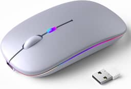Mouse Sem Fio Recarregável, Ergonômico, com Led RGB, Conexão Dual Bluetooth 5.0/USB 2.4GHz, DPI Ajustável, perfeito para Notebook, Laptop,PC, Desktop, Silencioso (Prata)