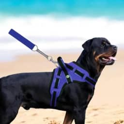 Coleira Peitoral Guia com Amortecedor Peiteira Para Cachorros Fortes(ONÇA,PP)