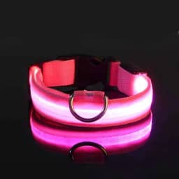 Coleira LED para Cães Recarregável por USB – Ajustável, Visível à Noite, Alta Segurança para Passeios (Rosa, G)