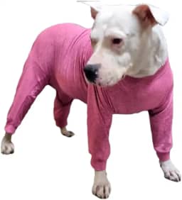 Roupa Pós Cirúrgica Pet Para Castração de Cachorro Macho e Fêmea - Vermelho Verde Rosa Roxo Azul (Rosa, 6)