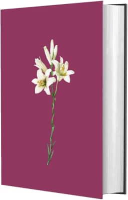 Bíblia Sagrada NVI - LETRA GRANDE: Lírios Color