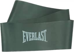 Everlast Mini Band
