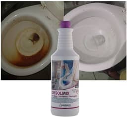 Renova Sanitários Limpa Vaso Encardido Dissolmix 1L