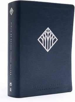 Bíblia De Estudo Thomas Nelson - Azul, Português