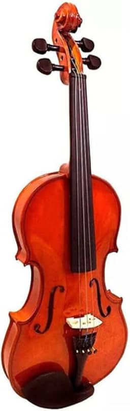 Violino Vivace Mozart Mo44 4/4 Com Case Luxo