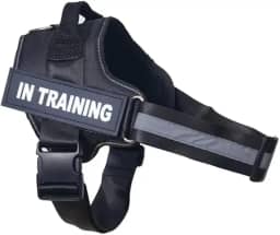 Coleira Personalizada Com Nome Telefone Para Cachorro Cães Pet Peitoral Colete Identificação (Preto, P)