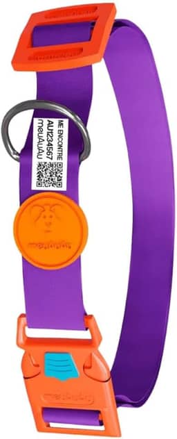 Coleira Com Identificação - Localizador - Qr Code - Com Nome Do Pet - Cães (New Purple, G)