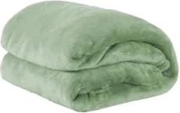 Cobertor Casal Manta Microfibra Fleece 01 Peça Erva Doce
