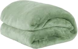 Cobertor Casal Manta Microfibra Fleece 01 Peça Erva Doce