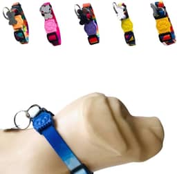 Coleira para Cachorros com Pingente para Identificação P, Tamanho Ajustável, Confortável e Resistente