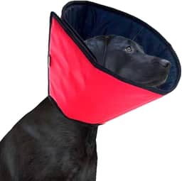 Colar Elizabetano Pet para Cachorro – Protetor Cirúrgico, Anti-Lambedura e Confortável (0)