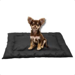 Cama Caminha Colchonete Preto PP 50x40cm para Cachorro e Gato de Suede Lavável Almofada Pet Macia Confortável