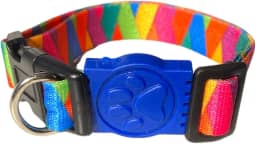 MY PET BRASIL Coleira Para Cachorros Pp Coleira Ajustável Madagascar Passeio E Viagem Confortável E Resistente