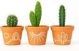 Kit 3 Vasos de Barro Estilo Sertão – Ideal para Cactos e Suculentas