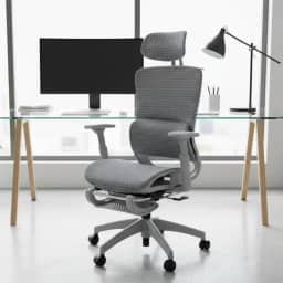 Cadeira Executiva Ergonômica, Giratória, Tela Mesh, Reclinável com Apoio Lombar e Cabeça, Suporta 150kg, Home Office e Gamer, NR17 (Cinza)