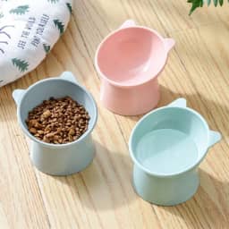 Comedouro Bebedouro Elevado Inclinado Gatos Cães Verde