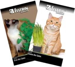 FELTRIN, KIT Sementes de Grama e Erva dos Gatos Catnip FELTRIN
