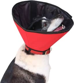 Colar Elizabetano Impermeável e Confortável Para Cães - Tam 02 - Pet Designer