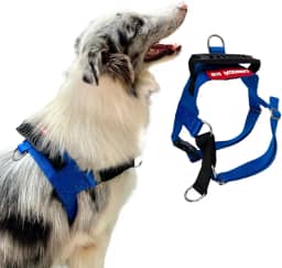 Coleira Peitoral Anti-puxão para Cães Fortes Tamanho M - Canadá K9 (azul royal)