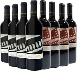 Kit com 8 Vinhos Chilenos Tinto Seco Cabernet Sauvignon e Carmenere Cuentos del Fuego