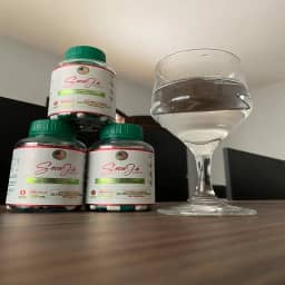 SECA JÁ DETOX - 01 POTE