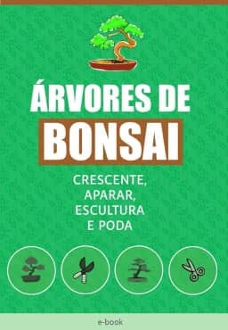 A Arte do Bonsai