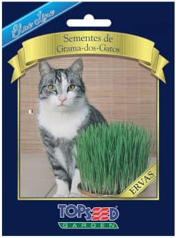 Semente Topseed Grama dos Gatos Blueline