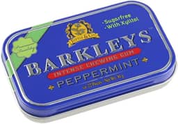 Chiclete Barkleys Chewing Gum Peppermint Menta 30 Gr