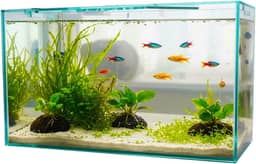 Aquário retangular transparente – Aquário compacto para peixes betta e pequenos peixes de água doce, adequado para residências, escritórios e decoração ambiental