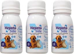 Kit 3 HepatoSide Pet 30ml Suplemento Vitamínico de Aminoácidos Para Cães e Gatos - Vitamina Pet Gestantes/Recuperação em geral