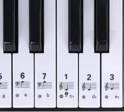 Adesivo Para Teclado Musical Com Notas Para Iniciantes