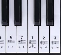 Adesivo Para Teclado Musical Com Notas Para Iniciantes