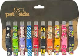 Coleira para pet cachorros filhotes de identificação cartela com 10 unidades