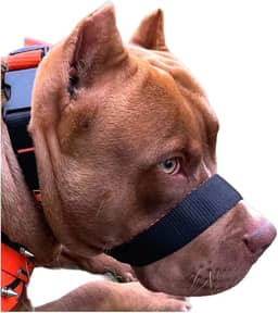 A Única Focinheira Confortável Do Mercado A Mais Vendida Pet (GG)