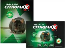 Ratoeira adesiva pega rato camundongo kit com 12 unidades