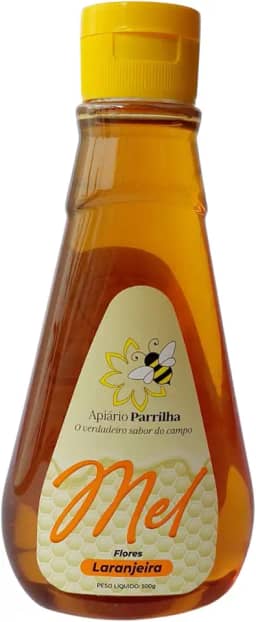 Mel Laranjeira Puro de Abelha 100% Natural - Bisnaga 500g