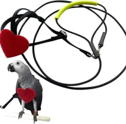 Peitoral ajustável para pássaros e coleira para papagaio, material de treinamento, antimordida, corda para voar ao ar livre, para conures periquitos, periquitas, calopsitas Mynah (XS)