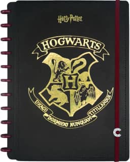 Caderno Inteligente, Grande, Harry Potter, 200x275 mm, 80 Folhas