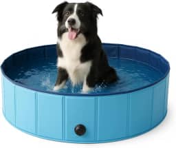 Piscina para Cachorro Resistente Dobrável Portátil Azul Petting Is Caring (Azul, 100x30cm, 6)