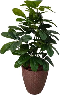Planta Artificial Schefflera com Folhas Grandes Realista Com Vaso