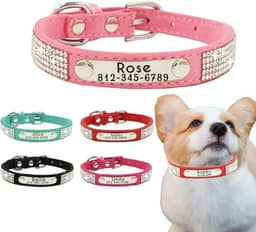 Coleira de couro personalizada para animais de estimação coleira de cachorro com glitter personalizada gravada com o nome e o número de telefone do seu animal de estimação. Possui um design de strass