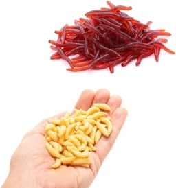 Kit 200 Iscas Artificiais em Silicone Soft para Pesca de Tilápia Lambari Piau (100 Un Larvas Cor BEGE + 100 Un Minhoca)