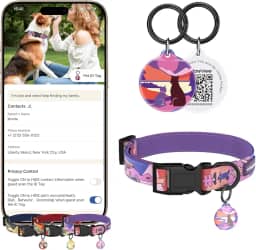 PawView Coleira para Cachorro com Tag ID QR Code, (Aplicativo PawView) Série Tempo, Marinho, Neoprene, XS-L, Sistema de Rastreamento Digital (Por do Sol, P)