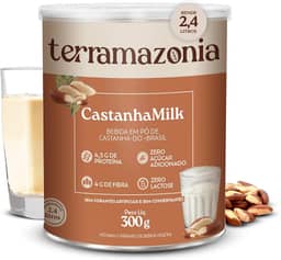 TERRAMAZONIA CastanhaMilk Leite em Pó Vegetal Feito de Castanha-do-Brasil - Bebida Vegetal de Castanha do Pará em Pó - Zero Lactose - Vegano - 300g