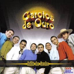 Garotos De Ouro – Bailão Dos Garotos