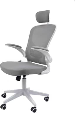 Cadeira Ergonômica Eurynom, Giratória, para Escritório e Home Office, com Encosto Reclinável, Braços Pivotantes, Apoio de Cabeça, Apoio Lombar (Cinza)